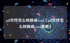 pdf文件怎么转换成excel〈pdf文件怎么转换成excel表格〉
