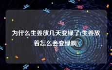 为什么生姜放几天变绿了(生姜放着怎么会变绿啊)