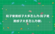 院子里黑蚊子太多怎么办(院子里黑蚊子太多怎么办啊)