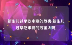 新生儿过早吃米糊的危害(新生儿过早吃米糊的危害大吗)
