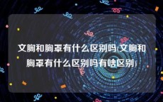 文胸和胸罩有什么区别吗(文胸和胸罩有什么区别吗有啥区别)
