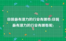 目前最有潜力的行业有哪些(目前最有潜力的行业有哪些呢)