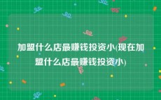 加盟什么店最赚钱投资小(现在加盟什么店最赚钱投资小)