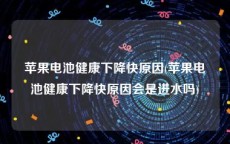 苹果电池健康下降快原因(苹果电池健康下降快原因会是进水吗)