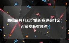 西藏最具开发价值的资源是什么(西藏资源有哪些)