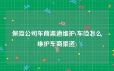 保险公司车商渠道维护(车险怎么维护车商渠道)