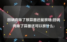 回锅肉除了放蒜苗还能放啥(回锅肉除了蒜苗还可以放什么)