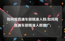 如何用直通车做精准人群(如何用直通车做精准人群推广)