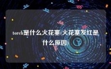 torch是什么火花塞(火花塞发红是什么原因)