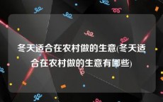 冬天适合在农村做的生意(冬天适合在农村做的生意有哪些)