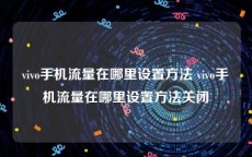 vivo手机流量在哪里设置方法 vivo手机流量在哪里设置方法关闭