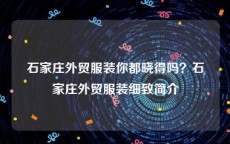 石家庄外贸服装你都晓得吗？石家庄外贸服装细致简介