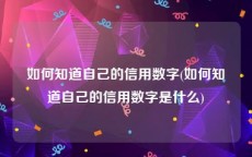 如何知道自己的信用数字(如何知道自己的信用数字是什么)