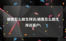 销售怎么陌生拜访(销售怎么陌生拜访客户)