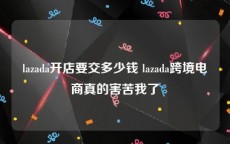 lazada开店要交多少钱 lazada跨境电商真的害苦我了