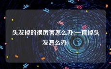 头发掉的很厉害怎么办(一直掉头发怎么办)