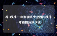 养10头牛一年利润多少(养殖20头牛一年要投资多少钱)