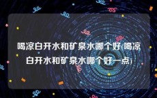 喝凉白开水和矿泉水哪个好(喝凉白开水和矿泉水哪个好一点)