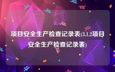 项目安全生产检查记录表(3.1.2项目安全生产检查记录表)
