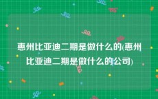 惠州比亚迪二期是做什么的(惠州比亚迪二期是做什么的公司)