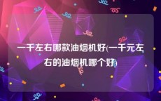 一千左右哪款油烟机好(一千元左右的油烟机哪个好)