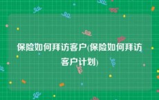 保险如何拜访客户(保险如何拜访客户计划)