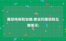 莆田纯原鞋加盟(便宜的莆田鞋在哪里买)