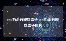 coco奶茶有哪些盖子 coco奶茶有哪些盖子图片