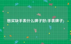 想买块手表什么牌子好(手表牌子)
