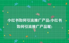 小红书如何引流推广产品(小红书如何引流推广产品呢)
