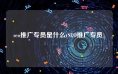 seo推广专员是什么(SEO推广专员)