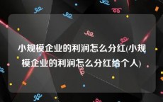 小规模企业的利润怎么分红(小规模企业的利润怎么分红给个人)