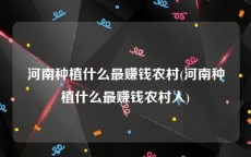 河南种植什么最赚钱农村(河南种植什么最赚钱农村人)