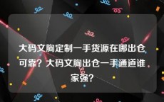 大码文胸定制一手货源在哪出仓可靠？大码文胸出仓一手通道谁家强？