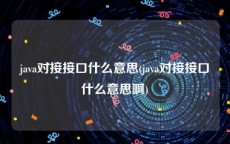java对接接口什么意思(java对接接口什么意思啊)