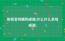 形容圣母婊的成语(什么什么圣母成语)
