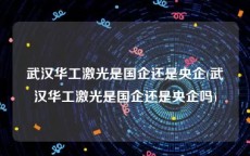 武汉华工激光是国企还是央企(武汉华工激光是国企还是央企吗)