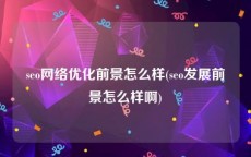 seo网络优化前景怎么样(seo发展前景怎么样啊)