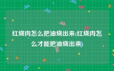 红烧肉怎么把油烧出来(红烧肉怎么才能把油烧出来)