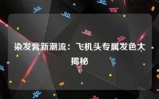 染发膏新潮流：飞机头专属发色大揭秘