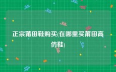 正宗莆田鞋购买(在哪里买莆田高仿鞋)