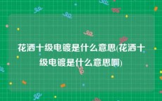 花洒十级电镀是什么意思(花洒十级电镀是什么意思啊)