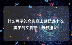 什么牌子的文胸穿上最舒适(什么牌子的文胸穿上最舒适女)