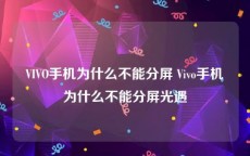 VIVO手机为什么不能分屏 Vivo手机为什么不能分屏光遇