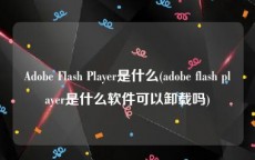 Adobe Flash Player是什么(adobe flash player是什么软件可以卸载吗)