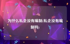 为什么私企没有编制(私企没有编制吗)