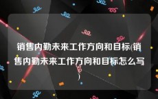 销售内勤未来工作方向和目标(销售内勤未来工作方向和目标怎么写)