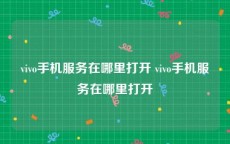 vivo手机服务在哪里打开 vivo手机服务在哪里打开