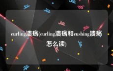 curling溃疡(curling溃疡和cushing溃疡怎么读)