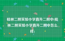 桂林二附实验小学直升二附中(桂林二附实验小学直升二附中怎么样)
